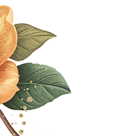 Rectangle-674 about2